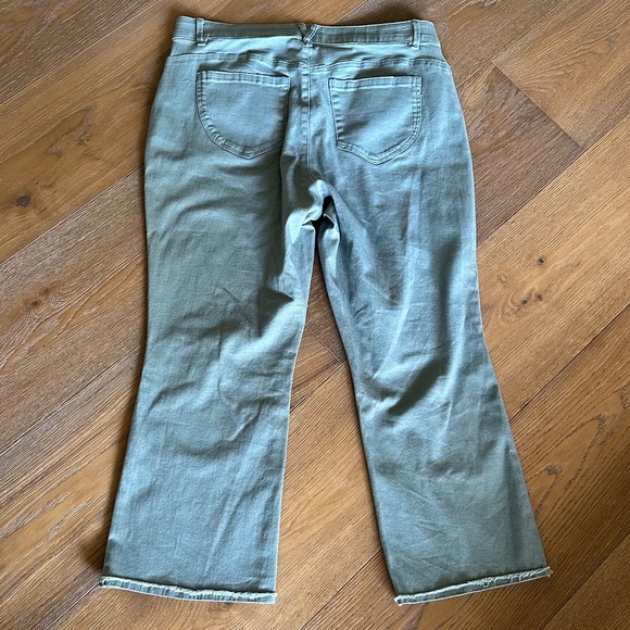 DEMOCRACY 'Ab'Solution Frayed Itty Bitty Flare Jeans - Picture 12 of 13